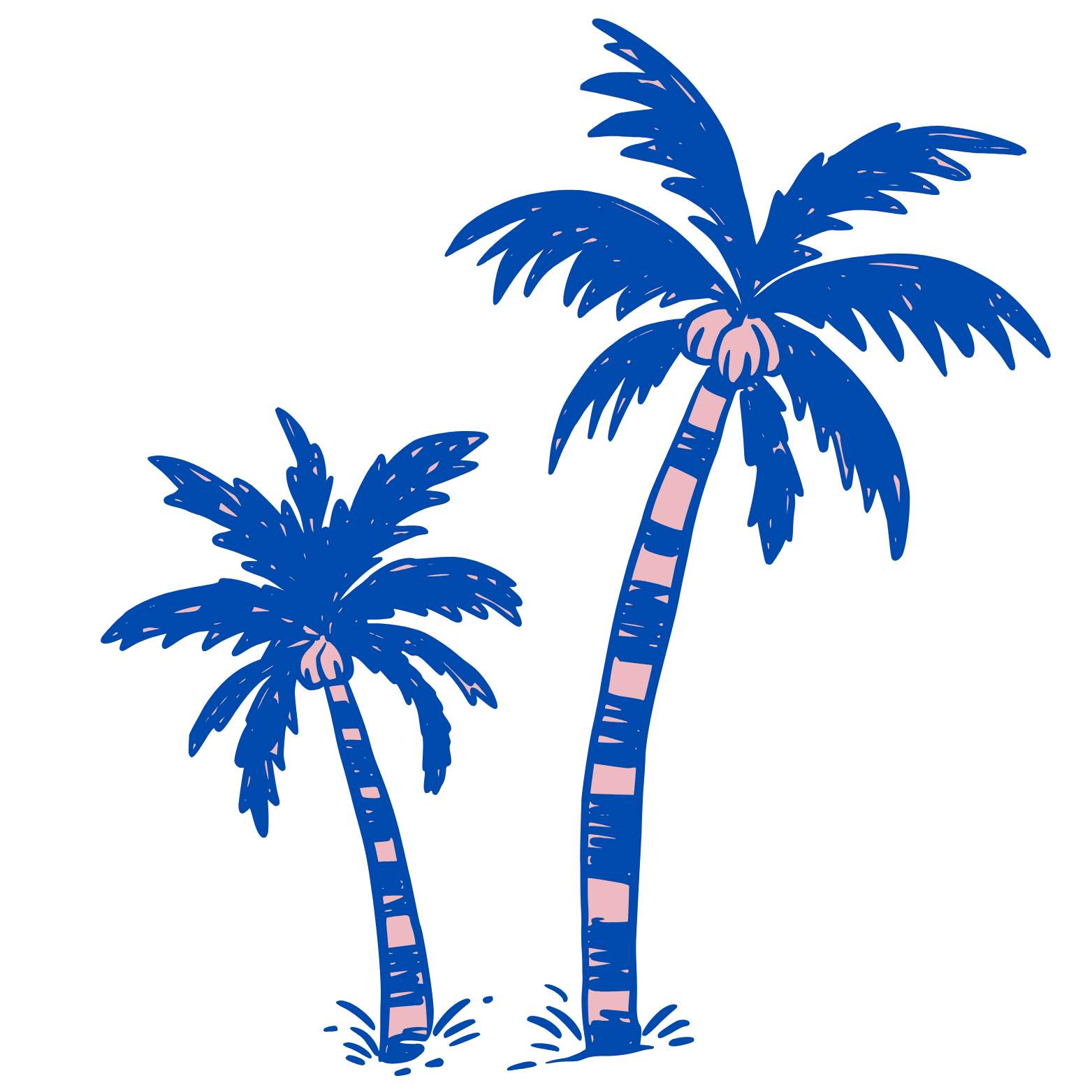Beach palm trees